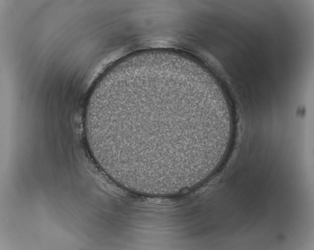 X0000113951218200911061256