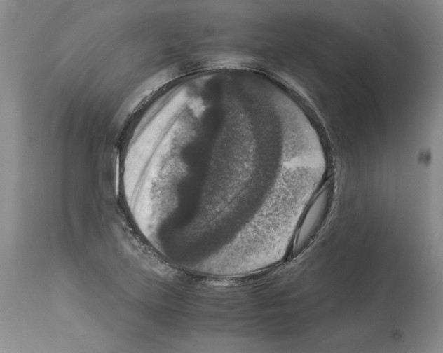 X0000113951219200911061256