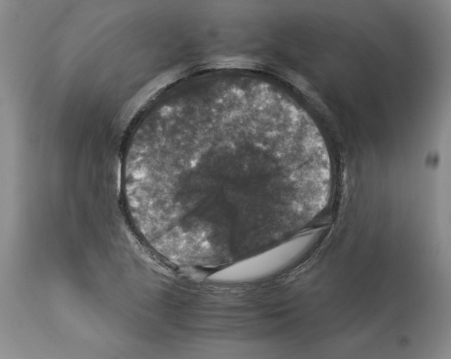 X0000113951221200911061256