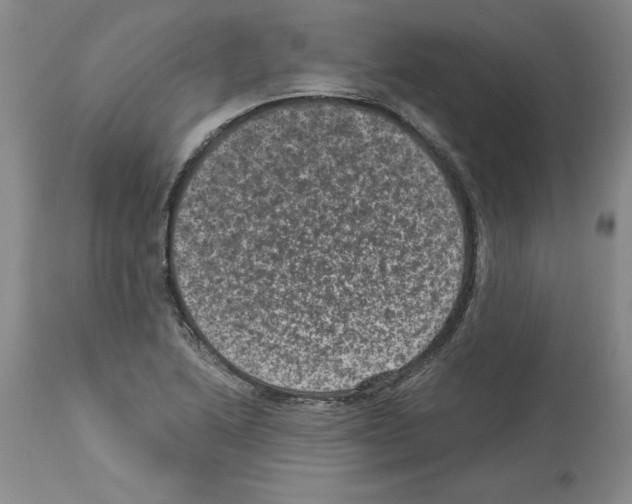 X0000113951222200911061256