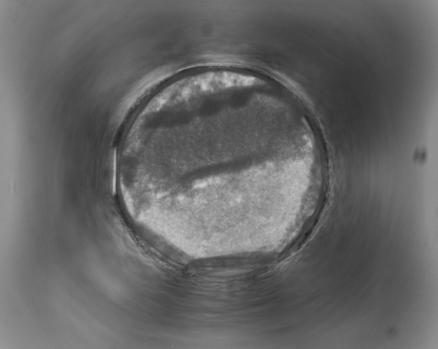 X0000113951223200911061256