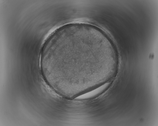 X0000113951224200911061256