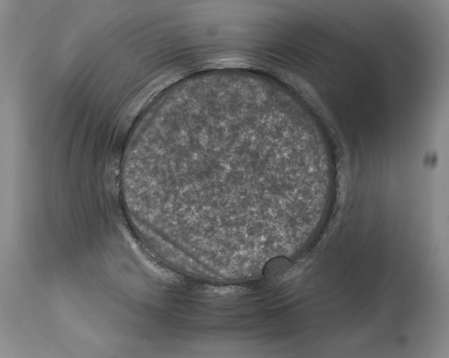 X0000113951225200911061256