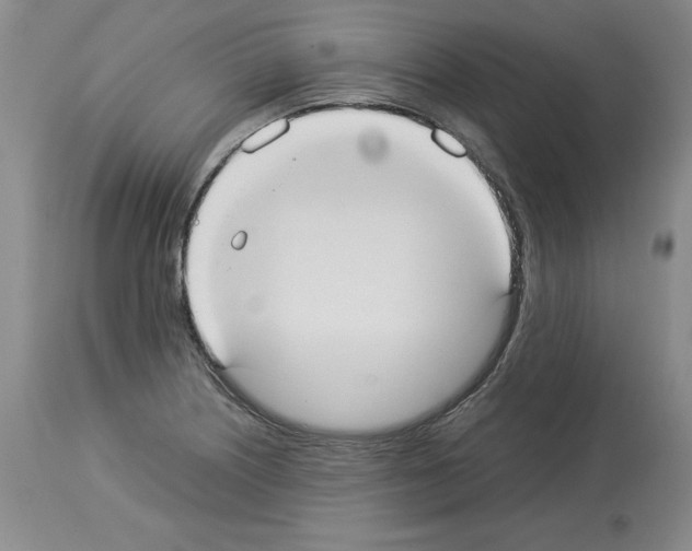 X0000113951226200911061256