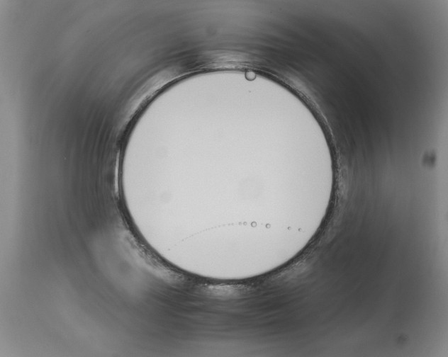 X0000113951227200911061256