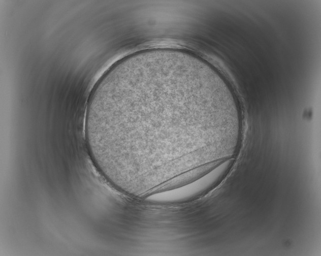 X0000113951228200911061256