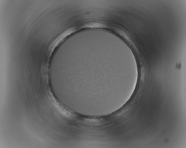 X0000113951229200911061256