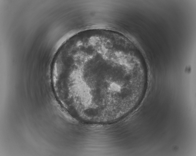 X0000113951230200911061256
