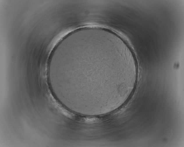 X0000113951231200911061256