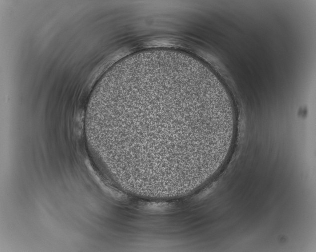 X0000113951233200911061256