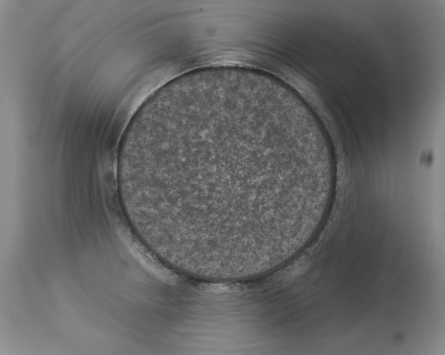 X0000113951234200911061256