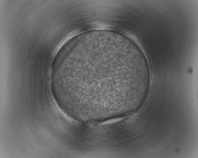 X0000113951235200911061256