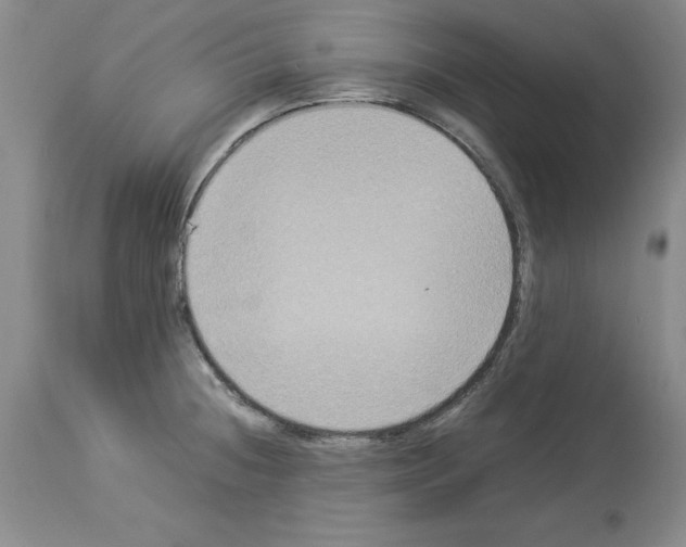 X0000113951236200911061256