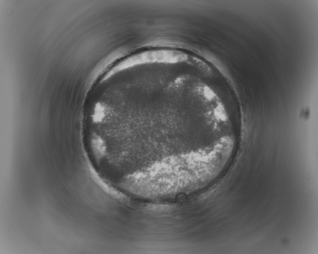 X0000113951237200911061256