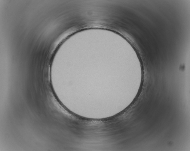 X0000113951238200911061256