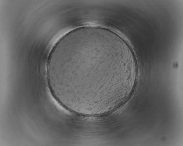 X0000113951239200911061256