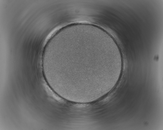 X0000113951240200911061256