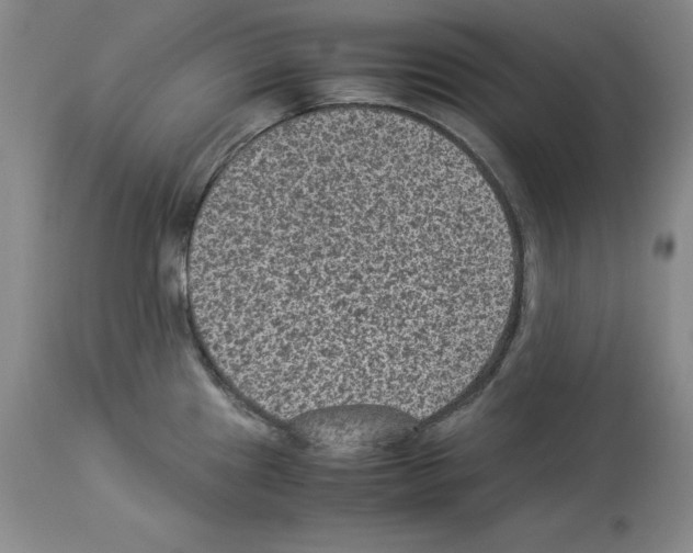 X0000113951241200911061256