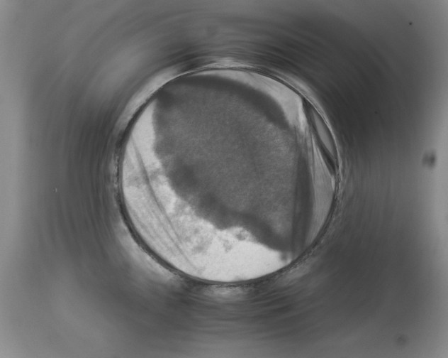 X0000113951243200911061257