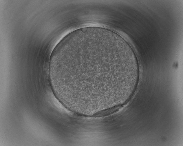 X0000113951244200911061257