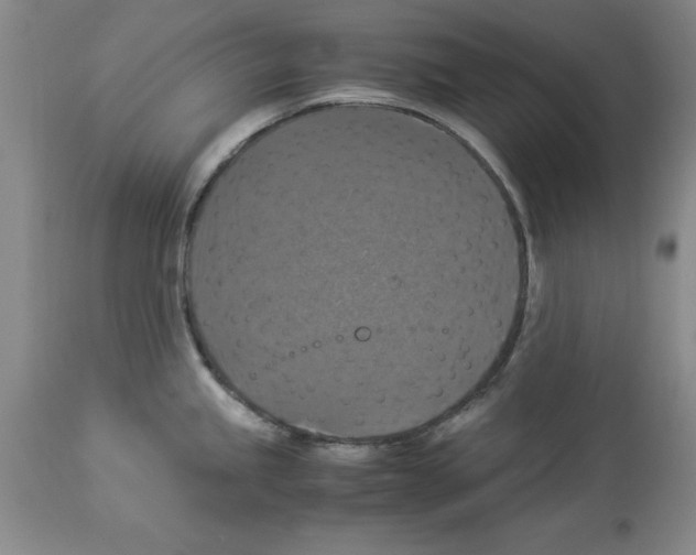 X0000113951245200911061257