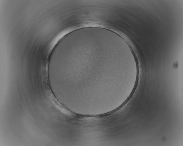 X0000113951246200911061257