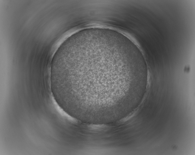 X0000113951247200911061257