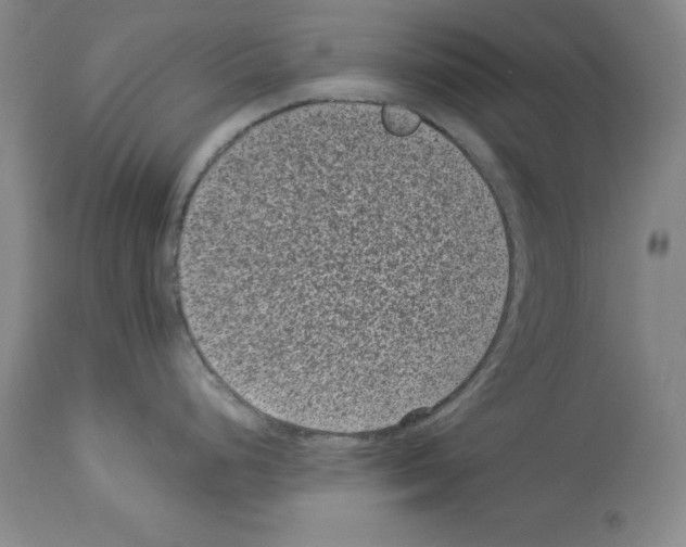 X0000113951248200911061257