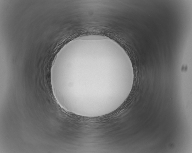 X0000113951249200911061256