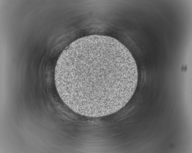 X0000113951250200911061256