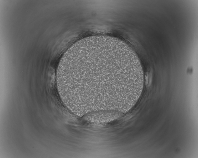 X0000113951251200911061256