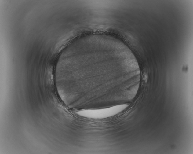 X0000113951252200911061256
