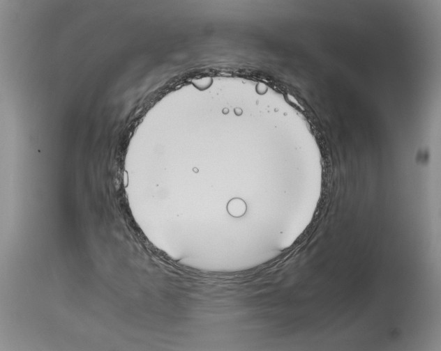 X0000113951253200911061256
