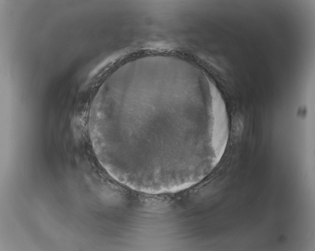 X0000113951254200911061256