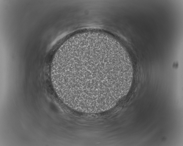 X0000113951255200911061256