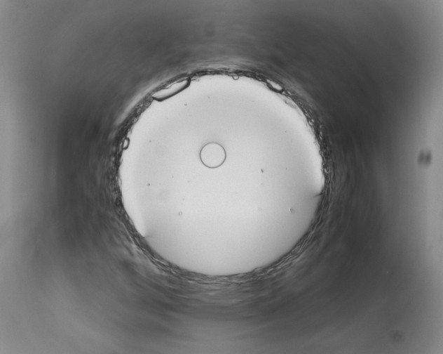 X0000113951256200911061256