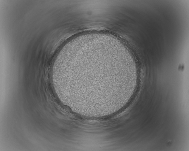 X0000113951257200911061256