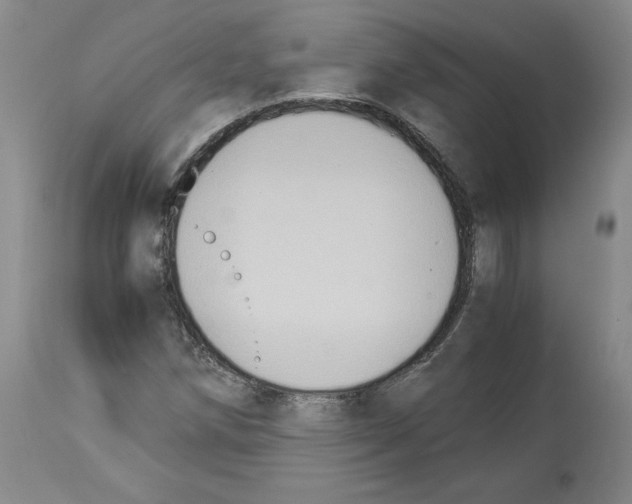 X0000113951258200911061256