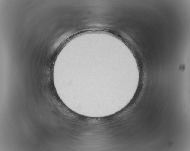X0000113951259200911061256