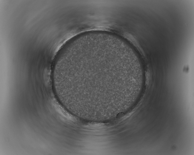 X0000113951260200911061256