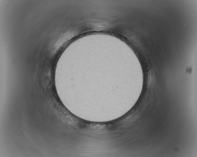 X0000113951261200911061256