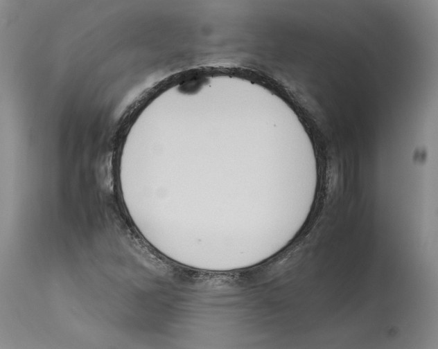 X0000113951262200911061256