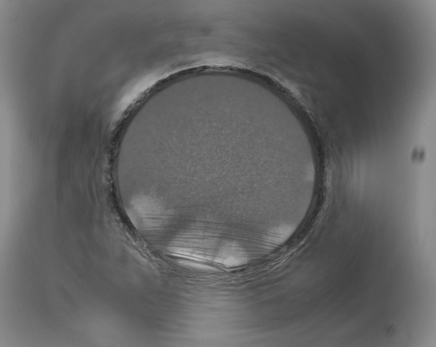 X0000113951263200911061256