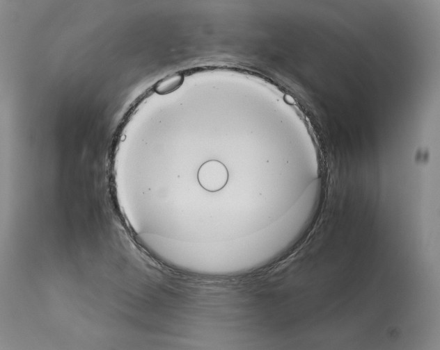 X0000113951264200911061256