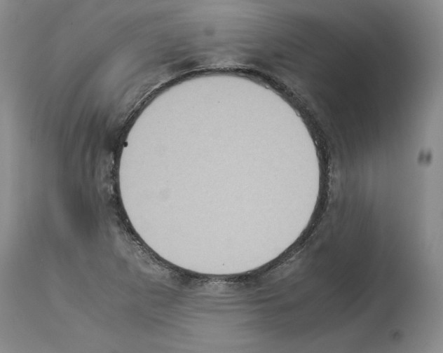 X0000113951265200911061256