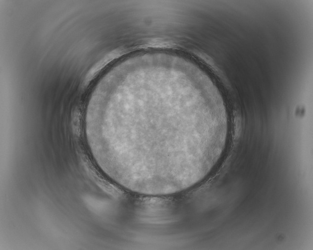 X0000113951266200911061256