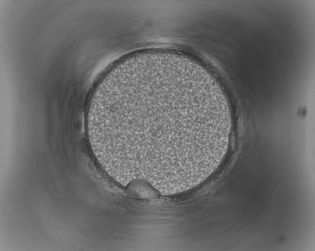 X0000113951267200911061256