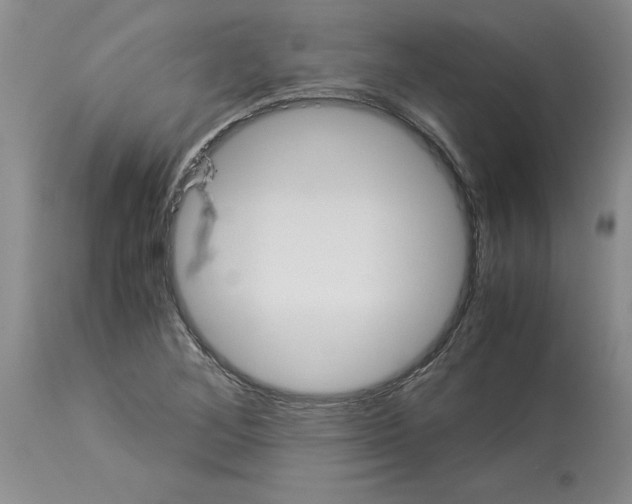 X0000113951268200911061256