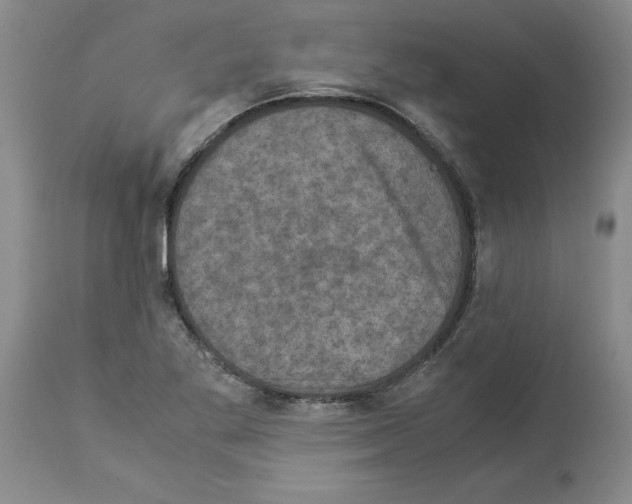X0000113951269200911061256