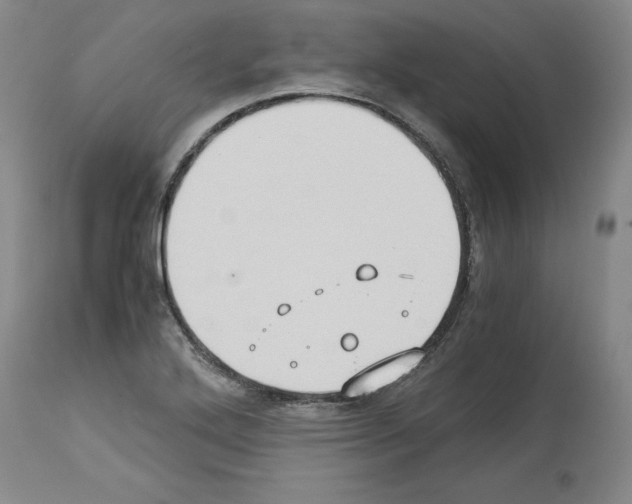 X0000113951272200911061256